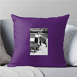 Herb Alpert is also a musician and record executive Herb Alpert Pillows Cover