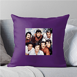 Herb Alpert has five number one albums Herb Alpert Pillows Cover