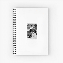 Herb Alpert is also a musician and record executive Herb Alpert Notebook