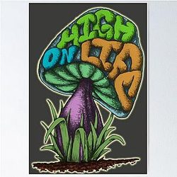 High on Life: The Story of a Mushroom