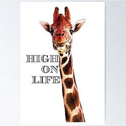 High Life Giraffe Poster