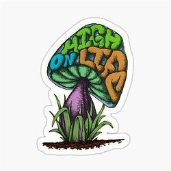 High on Life - The Story of a Mushroom