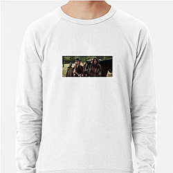 Survival Test Hostiles Sweatshirts