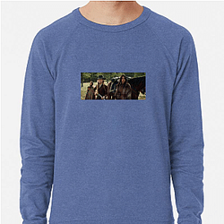 Survival Test Hostiles Sweatshirts