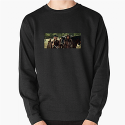 Survival Test Hostiles Sweatshirts