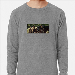 Survival Test Hostiles Sweatshirts