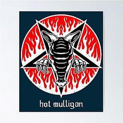 Very Amazing   Hot Mulligan   Poster RB0712
