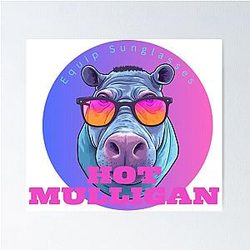 hot mulligan equip sunglasses Poster RB0712