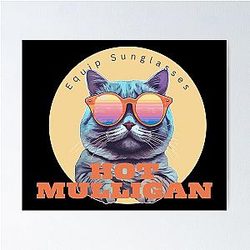HOT MULLIGAN BAND Poster RB0712