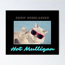 Hot Mulligan Band   Equip Sunglasses Poster RB0712