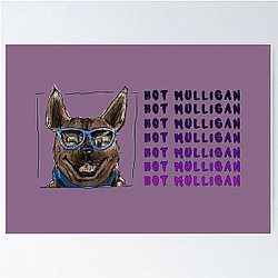 Hot Mulligan Split Poster RB0712