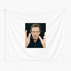 Hugh Laurie's career spans several decades Hugh Laurie Tapestries