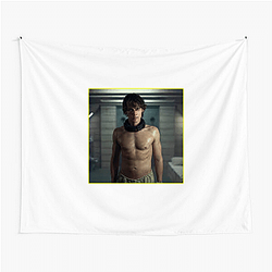Academy Award Winner Hunter Doohan Tapestries