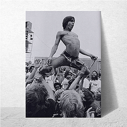 Iggy Pop Beyond The Stage Iggy Pop Posters