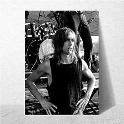 Iggy Pop The Best Rock Singer Iggy Pop Posters