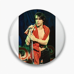 Iggy Pop Always Wild Always Energetic Iggy Pop Pins