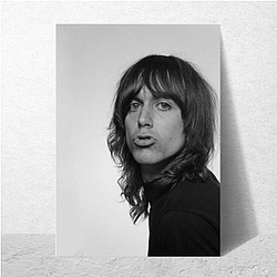 Iggy Pop The Godfather of Punk Iggy Pop Posters