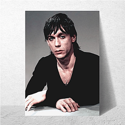 Iggy Pop The World Is A Song Iggy Pop Posters