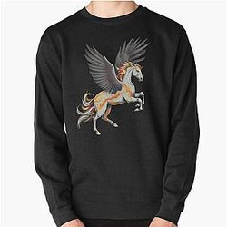 Pegasus Wreathed In Flames Pullover Sweatshirt RB0712