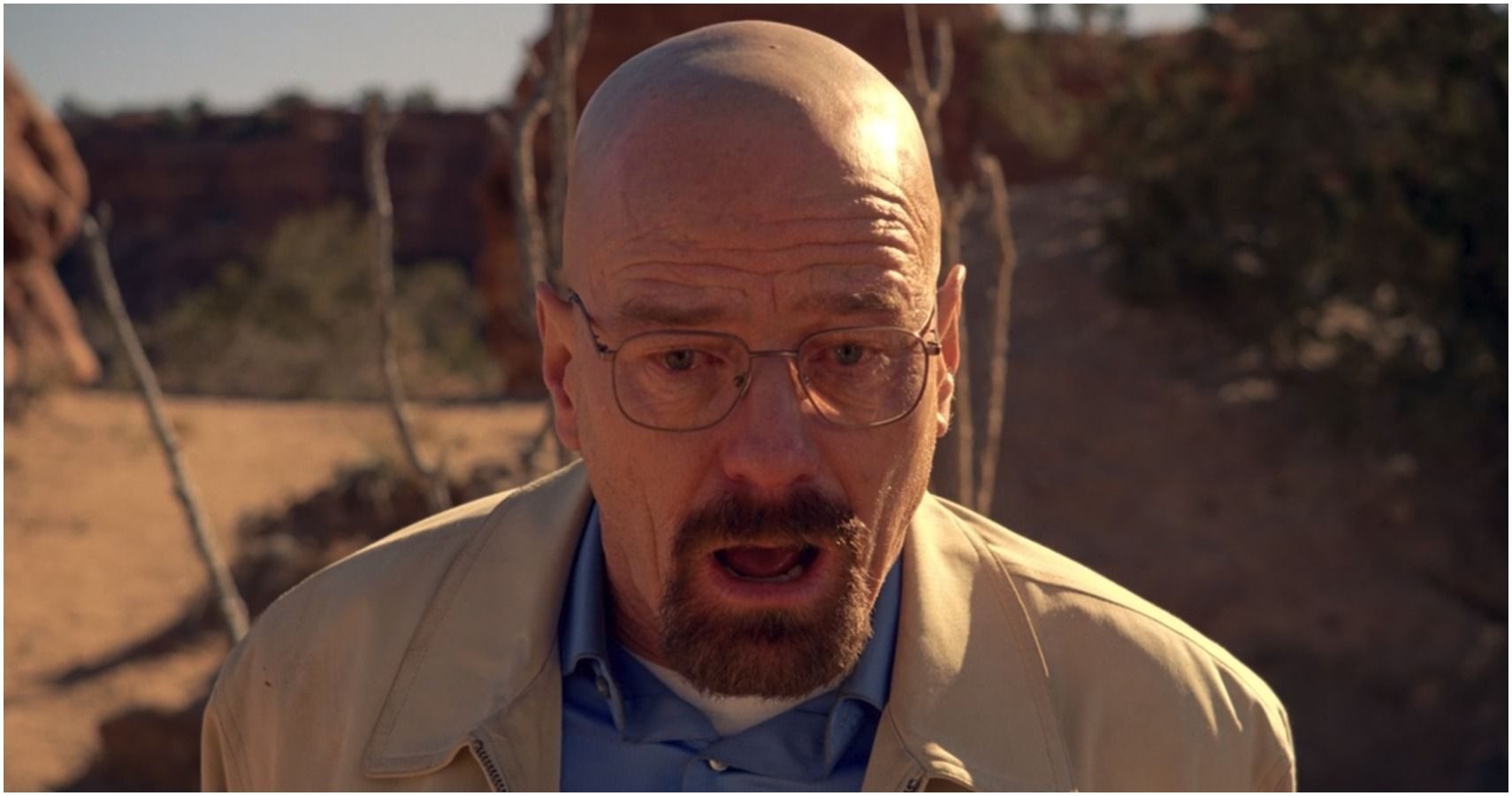 Walter White Official Merchandise: Bryan Cranston Picks
