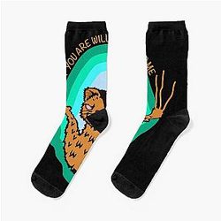 Inscryption Cat Socks