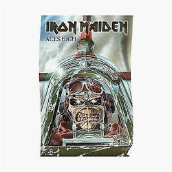 Skull Driving A Helicopter Poster Poster RB1208