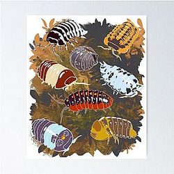 Isopod Inzamelposter