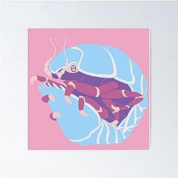 인기있는 Isopod 담당자 :