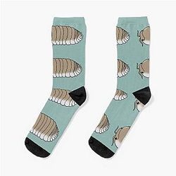 스낵 바 Isopod 뚱 베어