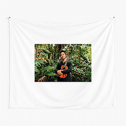 Genre-Bending Artist Jake Shimabukuro Tapestries