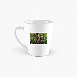 Genre-Bending Artist Jake Shimabukuro Mugs