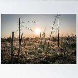 The sunrise over James Bay Poster