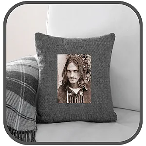 James Taylor Pillows Cover