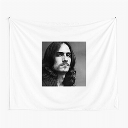 James Taylor The Best Folk Singer James Taylor Tapestries