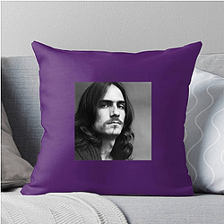 James Taylor The Best Folk Singer James Taylor Pillows Cover