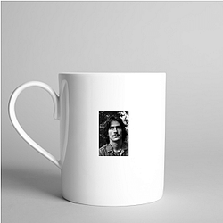 James Taylor The King of Folk James Taylor Mugs