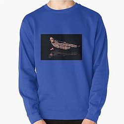 James Franco as Dandy Sweatshirt