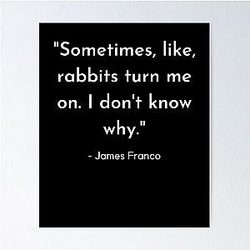 Funny James Franco Quote