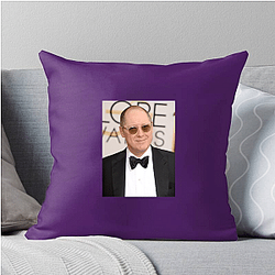 Scene Stealer James Spader Pillows Cover