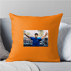 Jamie Jones True Colors Jamie Jones Pillows Cover