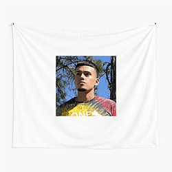 Jaykindafunny Still Cracking Us Up Design Jaykindafunny Tapestries