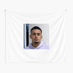 Jaykindafunny Delivering Daily Doses of Humor Fashion Jaykindafunny Tapestries