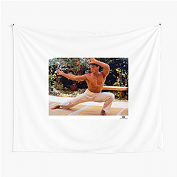 Jean-Claude Van Damme is known for his action films Jean Claude Van Damme Tapestries