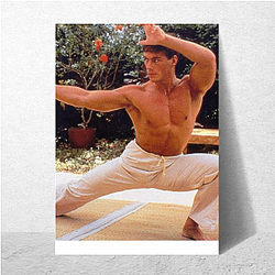 Jean-Claude Van Damme is known for his action films Jean Claude Van Damme Posters