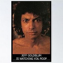 Jeff Goldblum is watching you poop Poster