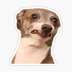 Jenna Marbles Kermit Being Nervous Sticker
