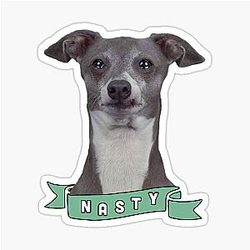 Nasty Kermit Jenna Marbles Sticker