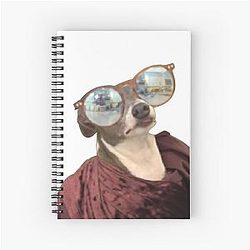 Kermit sunglasses with Jenna Marbles notepad