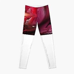 jerma985 I PEEPED the Horror And Survived Premium Leggings
