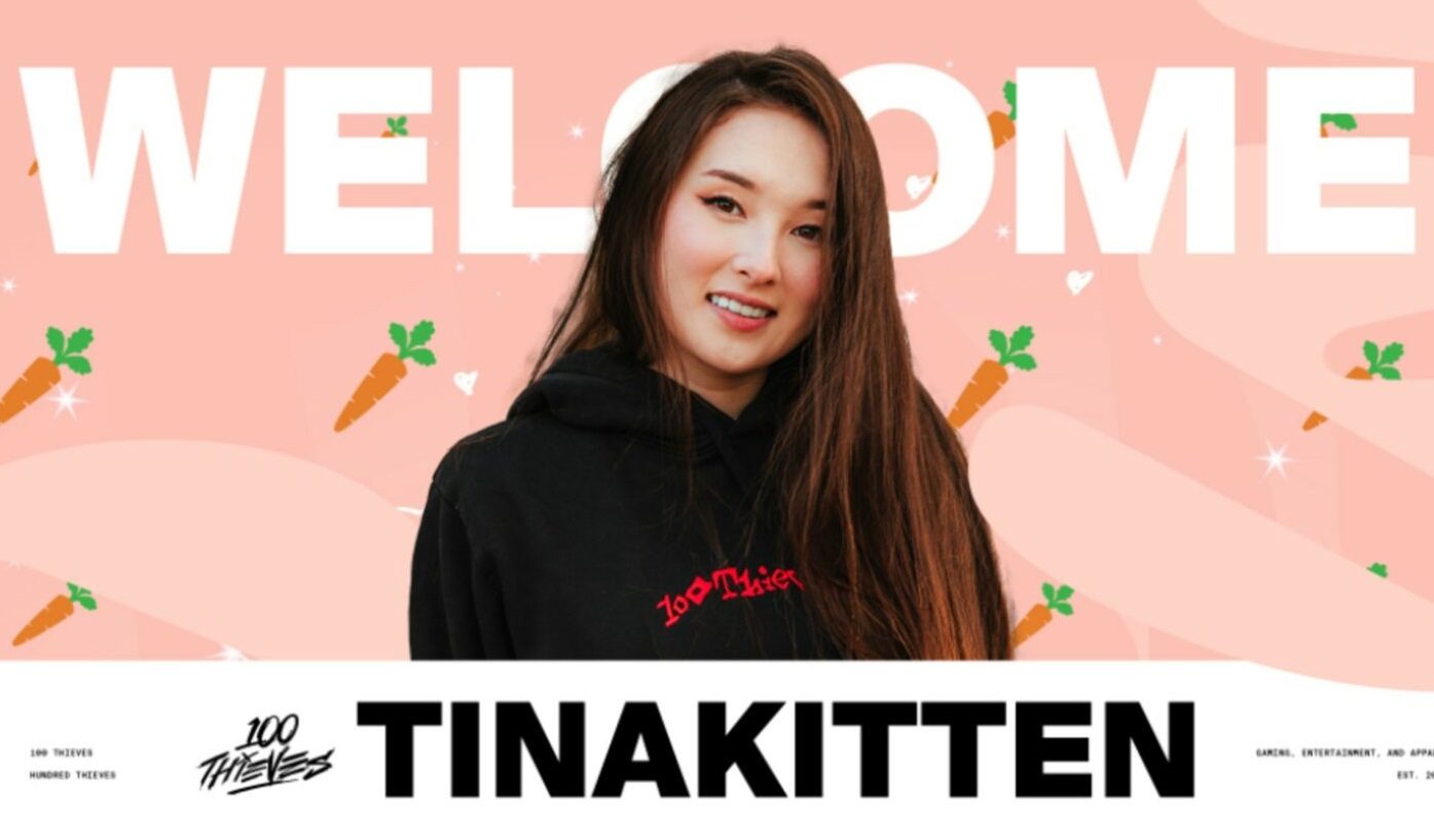 Tinakitten Official Merchandise: Streamer Essentials